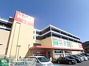 ファッションセンターしまむらホームズ新川崎店 徒歩13分。ショッピングセンター 990m