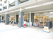 デリド武蔵小杉店 858m
