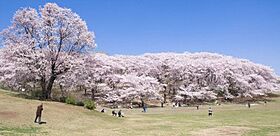 エーデル横濱山手  ｜ 神奈川県横浜市中区竹之丸（賃貸アパート1K・2階・16.15㎡） その17