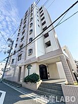 ドムール清水丘  ｜ 大阪府大阪市住吉区清水丘2丁目（賃貸マンション3LDK・7階・68.89㎡） その1