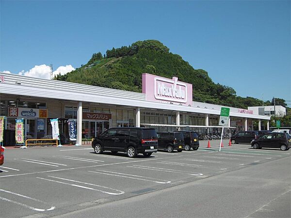 画像3:マックスバリュ 静岡丸子店（260m）