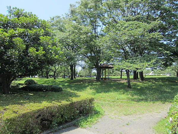 画像20:高松公園（498m）