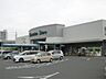 周辺：しずてつストア 入江店（674m）