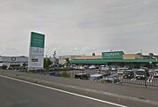 ツルヤ　臼田店（624m）