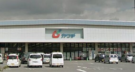 グリーンパレス佐久C棟_周辺_6