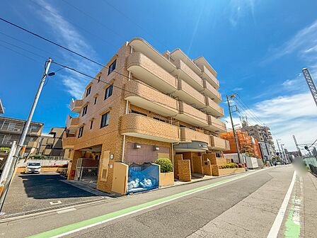 【前面道路】家の前をまっすぐの通りが走っている。クルマは少なく、人々は毎朝、ウォーキング、ジョギング、犬の散歩など、フリーな朝時間を過ごしている。