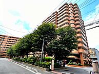 埼玉県さいたま市大宮区土手町1丁目：物件画像