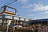 周辺：ホームセンター 280m コーナンドイト戸田店