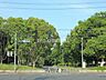 周辺：大泉緑地 徒歩15分。 1160m