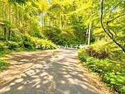 ※実際の写真から家具等を消すCG加工をしています。