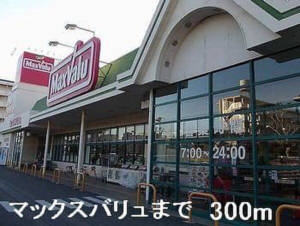 画像15:マックスバリュまで300m