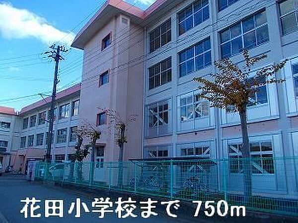 画像18:花田小学校まで750m