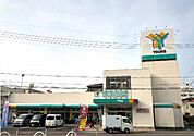 スーパー「ユアーズ戸坂店まで598ｍ」