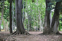 周辺施設の画像