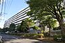 外観：鹿島田セントラルマンションの外観(北側から)