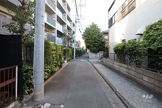 敷地東側の前面...