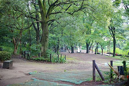 駒場野公園の外観