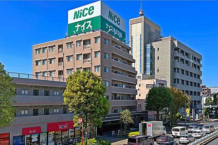 ナイスブライトピア世田谷千歳台の外観(南東側から)