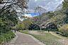 周辺：東高根森林公園の外観