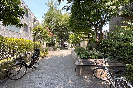 敷地西側の前面道路(南側から)