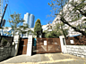 周辺：港区立六本木中学校（約620m）