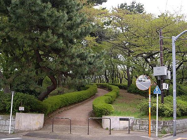 周辺を拡大表示