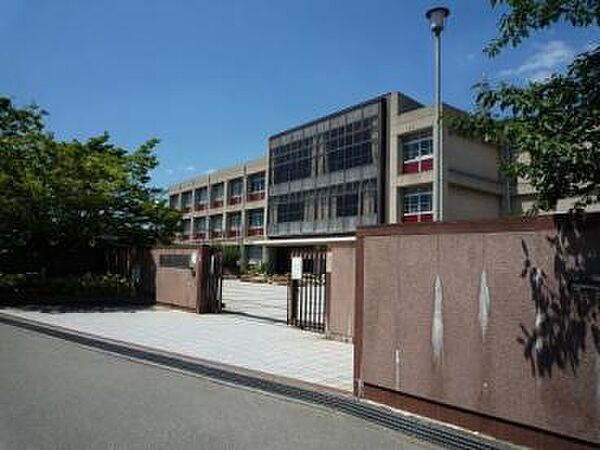 画像23:【小学校】若宮小学校まで1204ｍ