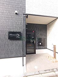 6 / 19