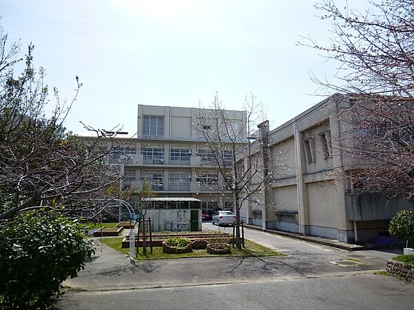 画像23:【小学校】宝塚市立　光明小学校まで141ｍ