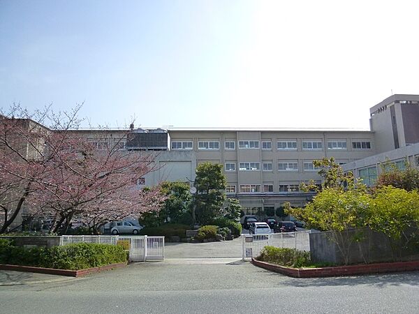 画像23:【中学校】宝塚市立　宝塚中学校まで1368ｍ