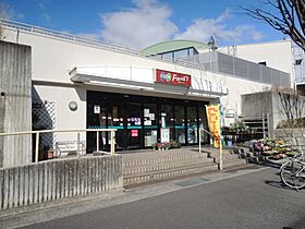 パラツィーナセシリア第二甲陽園  ｜ 兵庫県西宮市上ケ原山田町（賃貸マンション2LDK・6階・68.75㎡） その30