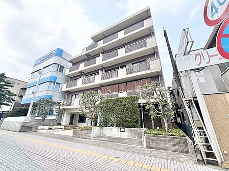 2026年7月 撮影