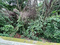 物件画像 山北町岸　売地