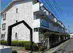 物件画像 ハイライフマンション岩原