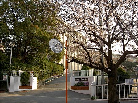 枚方市立第四中学校(1055m)
