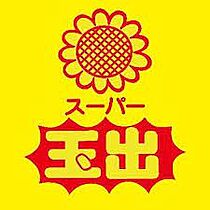 ミラージュパレス難波幸町 212 ｜ 大阪府大阪市浪速区幸町2丁目10-26（賃貸マンション1K・2階・25.20㎡） その29