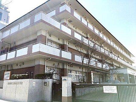仙台市立上杉山通小学校 徒歩11分。 850m