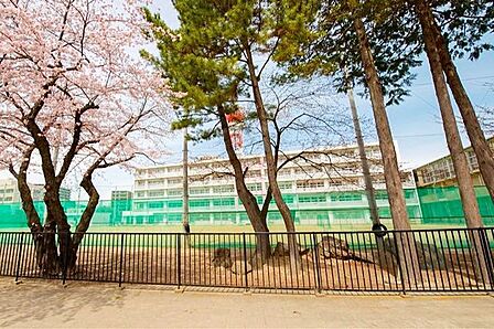 仙台市立宮城野中学校 徒歩3分。 170m