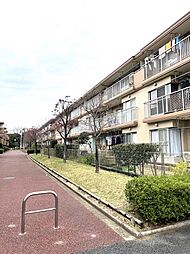 物件画像 コンドミニアム初石D棟