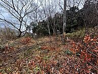兵庫県淡路市江井2191-14：物件画像
