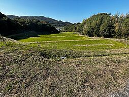 物件画像 淡路市室津農地