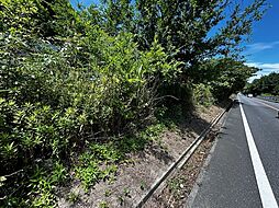 物件画像 淡路市中田農地