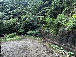 物件画像 南あわじ市中条中筋山林