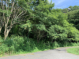 物件画像 小諸市甲の土地