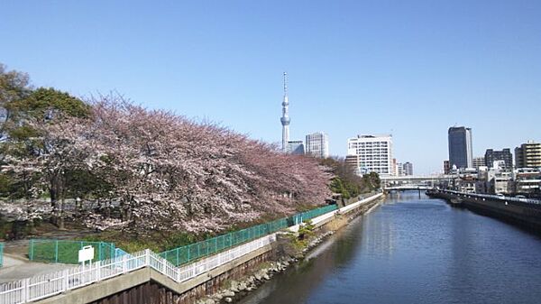 画像18:猿江恩賜公園[700m]