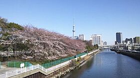 アクサス西大島ステーション 704 ｜ 東京都江東区大島４丁目3-3（賃貸マンション1K・7階・26.54㎡） その29