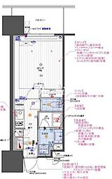 🉐敷金礼金0円！🉐ドゥーエ西大島II
