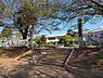 周辺：島名小学校 1900m