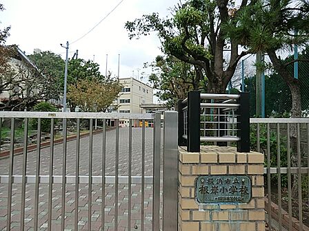 横浜市立根岸小学校　300ｍ