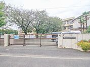 小学校 781m 相模原市立大野台小学校